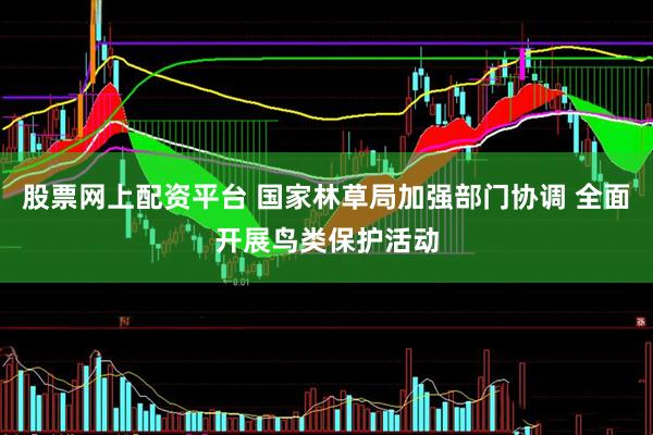 股票网上配资平台 国家林草局加强部门协调 全面开展鸟类保护活动